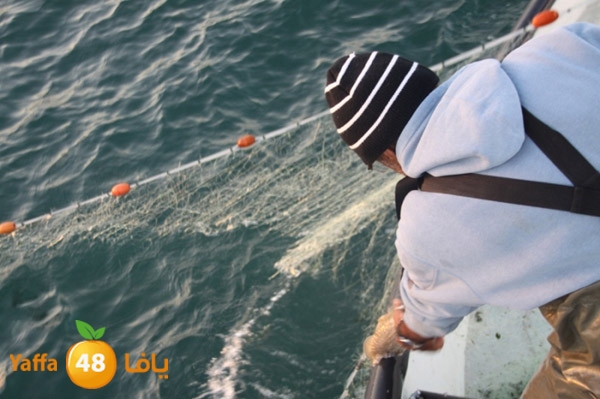 sayyadnewyaffa3 (51).JPG